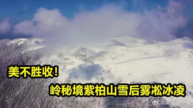 欢乐打砖块2选关版